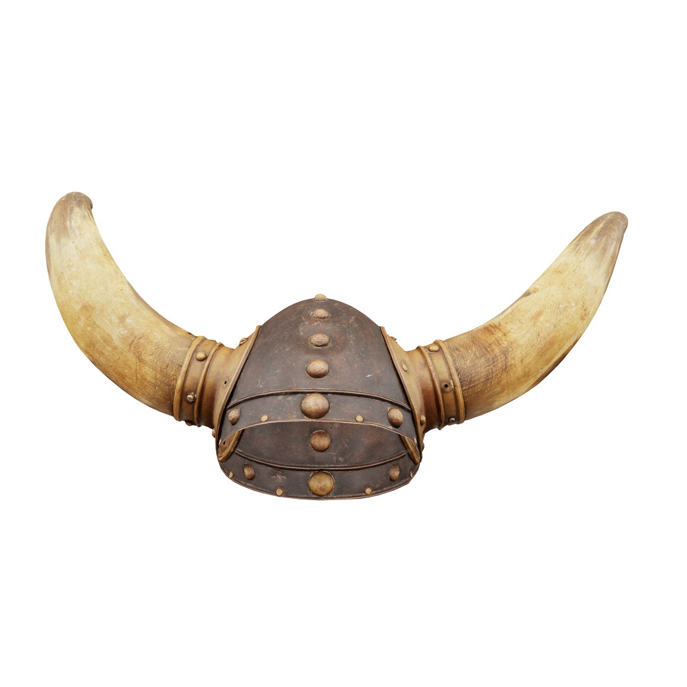Horn Helmet